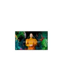 SAMSUNG LH65QHCEBGCX Moniteur 65'' Samsung QH65C (UHD 700cd/m2 24/7)