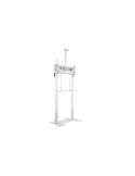 MULTIBRACKETS 0181 Motorisierter Bodenständer FloorBase XL 150kg Weiß Leinwand 42  - 100  -Vesa Max 1000x600 MULTIBRACKETS MUL