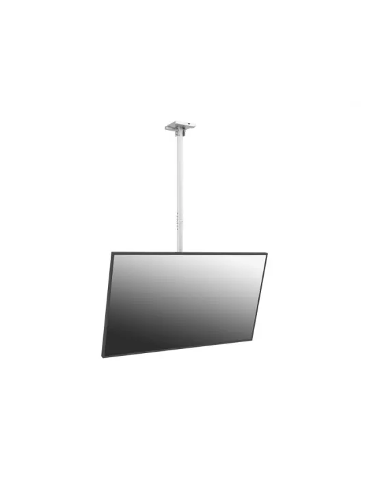 MULTIBRACKETS 8645 Soporte plafond Multibrackets Soporte de techo Pro MBC1U Blanco - Pantalla 40 -65  VESA Max 600x400 MULTIBR