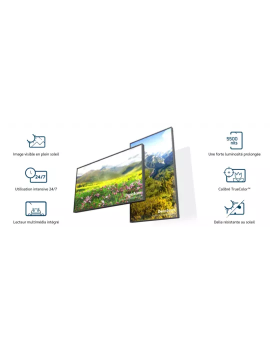 DYNASCAN DS552LT6 Ecran vitrine haute luminosité   55" Full HD 5500cd/m2 2
