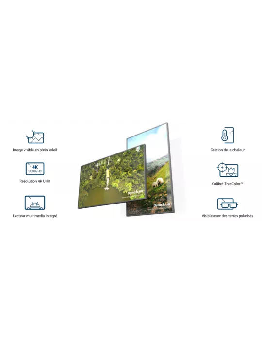 DYNASCAN DS752LT5 Ecran vitrine haute luminosité   75'' Full HD 4000cd/m2 24/7