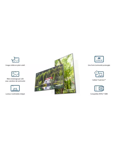 DYNASCAN DS861LR4 Moniteur 86" Forte luminosité   LCD / D-LED 4K UHD 3500 cd/m² 24/7 2