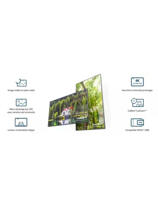 DYNASCAN DS861LR4 Moniteur 86" Forte luminosité   LCD / D-LED 4K UHD 3500 cd/m² 24/7