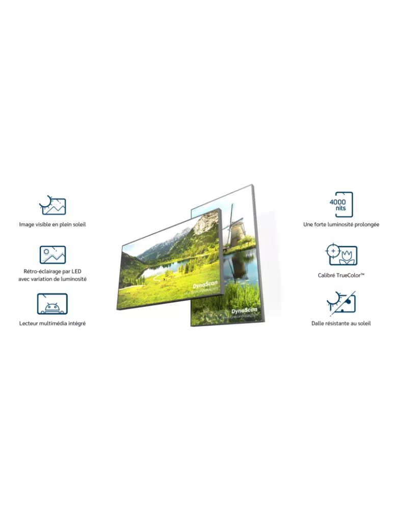 DYNASCAN DW651LR5 65-Zoll-Monitor Hohe Helligkeit LCD   D-LED 4K UHD 4000 cd m² 24 7 DYNASCAN DYNDW651LR5 | MusicGoodDeal