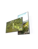 DYNASCAN DS752LR4 75  High brightness LCD   D-LED 4K UHD 3500 cd m² 24 7 monitor DYNASCAN DYNDS752LR4 | MusicGoodDeal