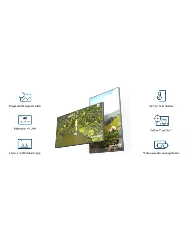 DYNASCAN DS752LR4 75  Monitor Hohe Helligkeit LCD   D-LED 4K UHD 3500 cd m² 24 7 DYNASCAN DYNDS752LR4 | MusicGoodDeal 2