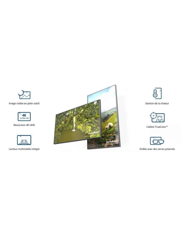 DYNASCAN DS752LR4 Ecran vitrine haute luminosité   75'' 4K UHD 3500cd/m2 24/7"