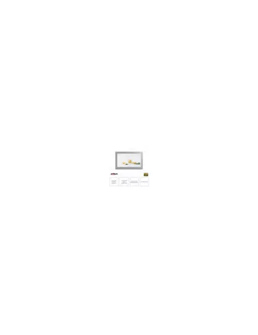 Dahua LDH43EAO400L Ecran exterieur 43'' DAHUA DHI-LDH43-EAO400L (UHD 2500cd/m2 24/7 Android 11) 2