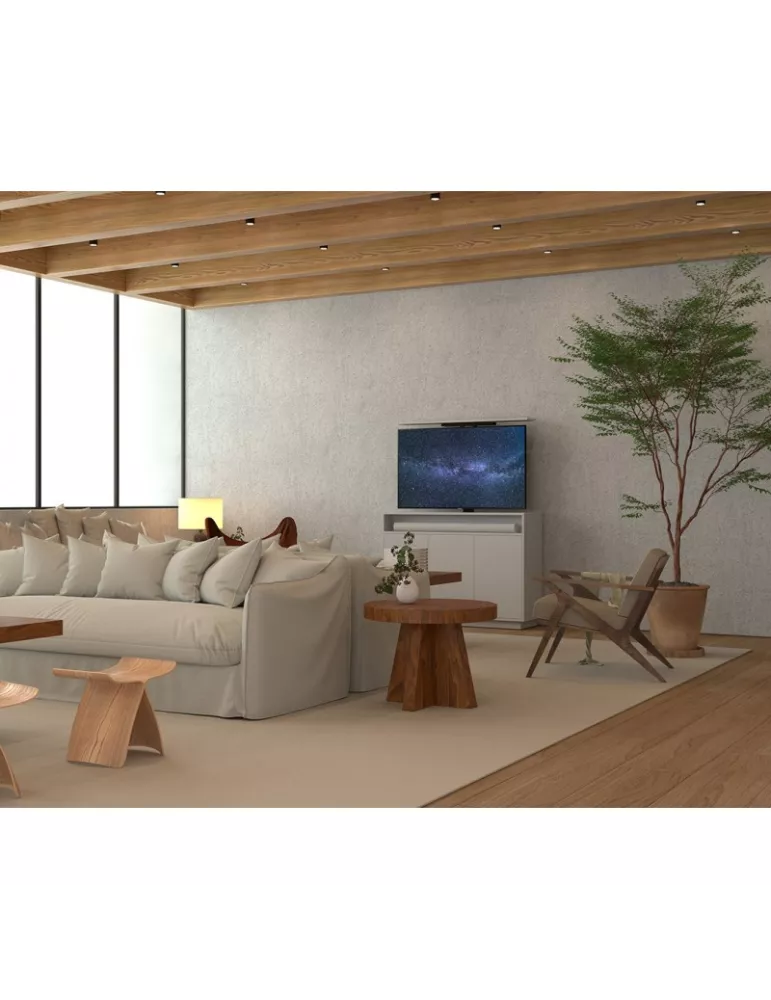 MULTIBRACKETS 4684 Elevador de pantalla plana Multibrackets Cabinet TV-Lift - Pantalla 55  VESA 600x400 MULTIBRACKETS MUL4684