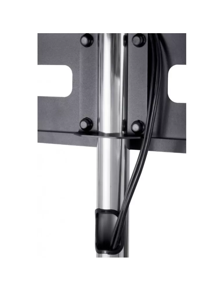 EDBAK TR51 Support à roulettes  C ecran plat VESA 600x400 charge 80 kg Hmax 170cm