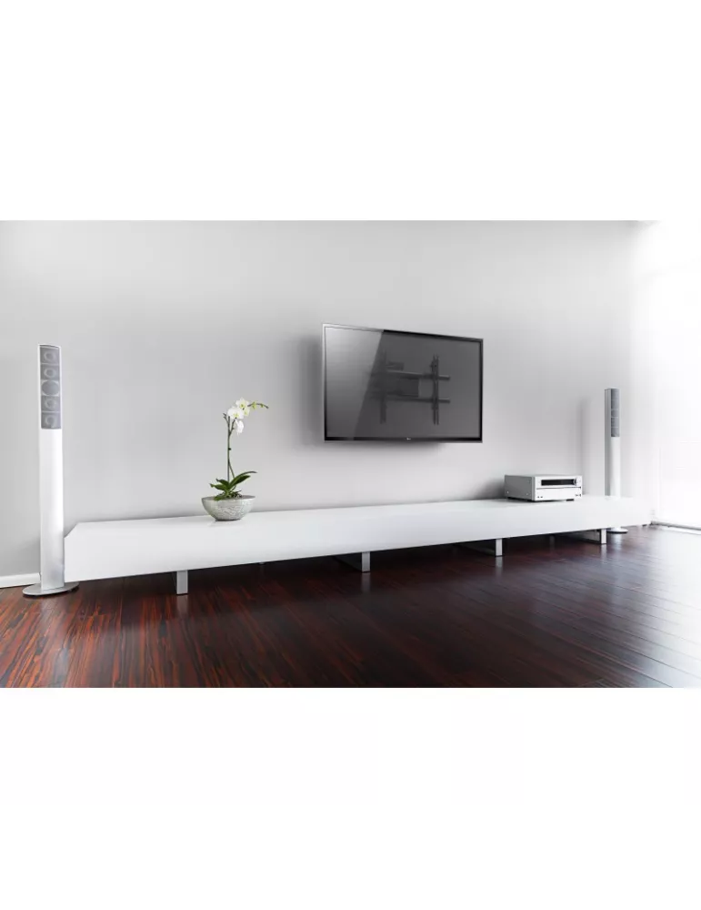 EDBAK PWS2 Support orientable   VESA 600x400 Distance max 68cm charge max 25 kg