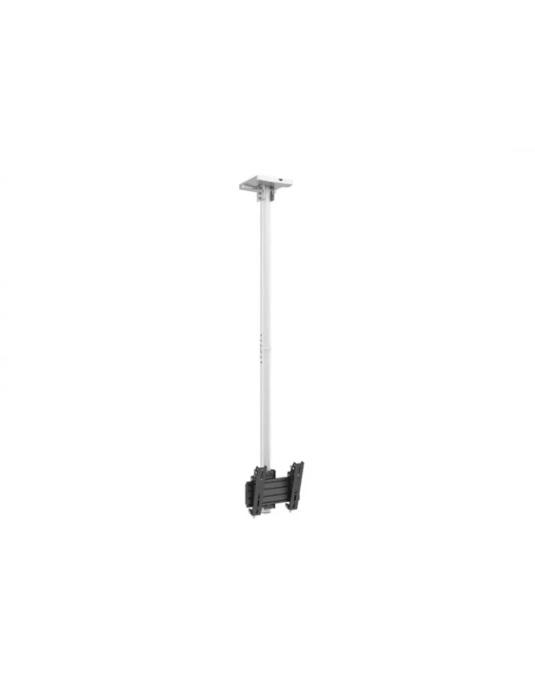 MULTIBRACKETS 8669 Ceiling Mount Multibrackets Ceiling Mount Pro MBC1U White - 24 -32  screen VESA Max 200x200 MULTIBRACKETS M