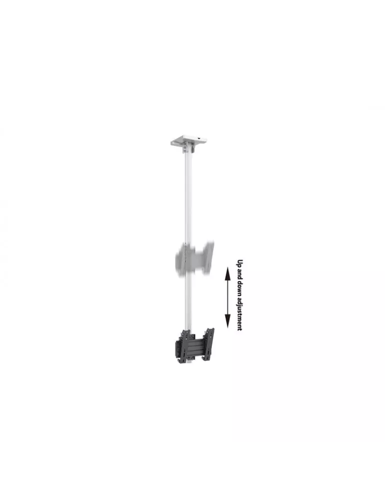 MULTIBRACKETS 8669 Support plafond Multibrackets Ceiling Mount Pro MBC1U Blanc - écran 24"-32" VESA Max 200x200