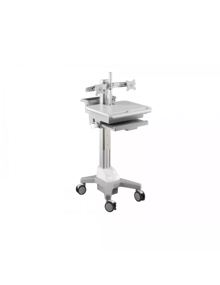 MULTIBRACKETS 4665 Support écran de table Multibrackets Workstation Dual Arm DT - 2 écrans 15"-24" VESA Max 100x100