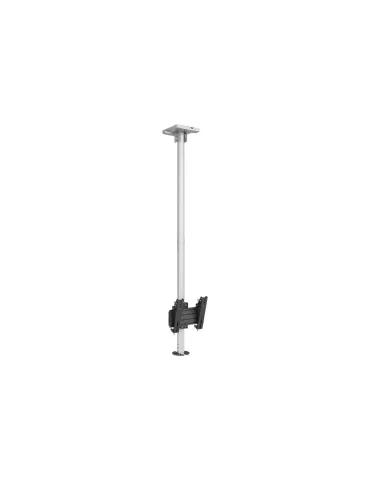 MULTIBRACKETS 6589 Support plafond Multibrackets Ceiling Mount Pro CCTV MBC1U - VESA Max 200