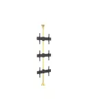 MULTIBRACKETS 5761 Support sol plafond MultibracketsFloor to Ceiling Mount Pro MBFC3U Brass - 3 screens 40 -65  VESA Max 600x4