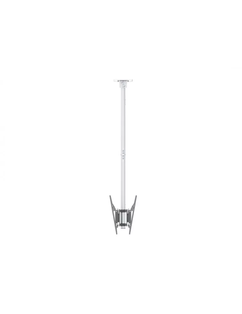 MULTIBRACKETS 8652 Soporte plafond Multibrackets Soporte de techo Pro MBC1UX2 Blanco - 2 pantallas 32 -75  VESA Max 400x400 MU