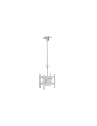 MULTIBRACKETS 2500 Support plafond Multibrackets Public Ceilingmount Medium Back to Back - écran dos à dos 32 -55  VESA Max 40