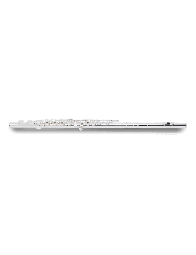 PEARL FLUTE 695RE | MusicGoodDeal
