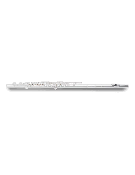 PEARL FLUTE 695RE | MusicGoodDeal