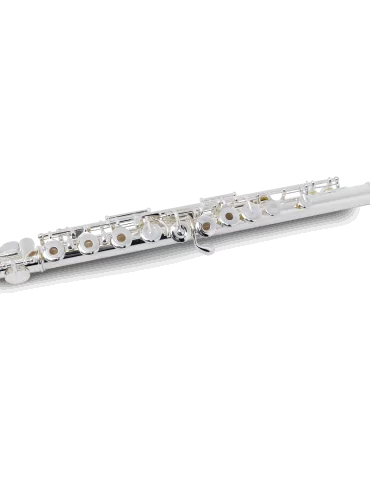 PEARL FLUTE 695RE | MusicGoodDeal 2