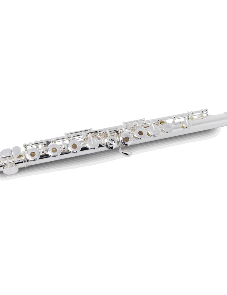PEARL FLUTE 695RE | MusicGoodDeal