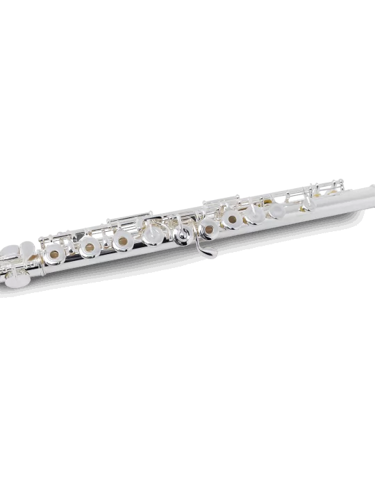 PEARL FLUTE 695RE | MusicGoodDeal