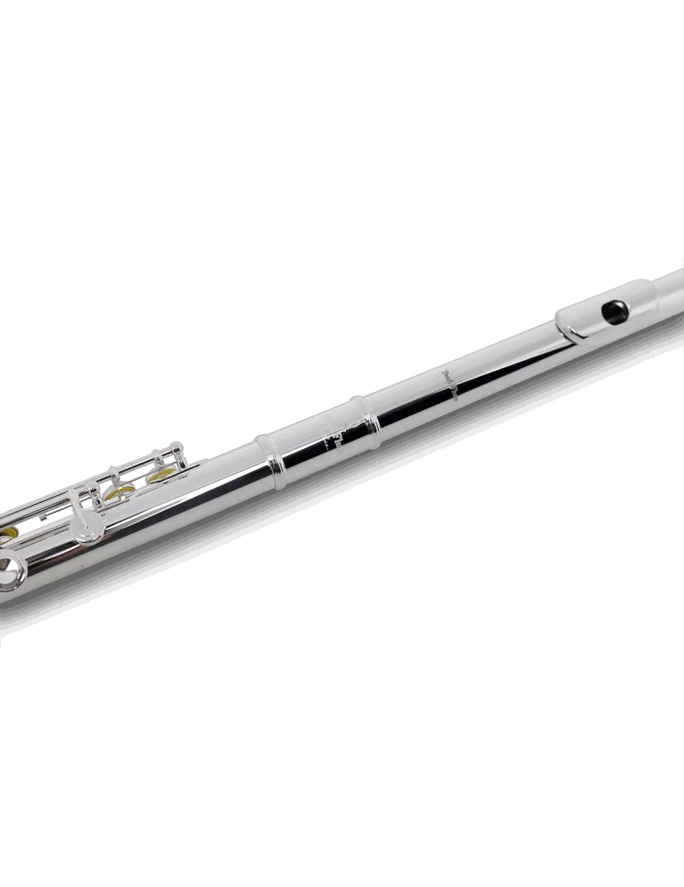 PEARL FLUTE 695RE | MusicGoodDeal