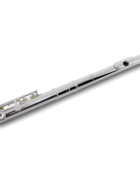 PEARL FLUTE 695RE | MusicGoodDeal