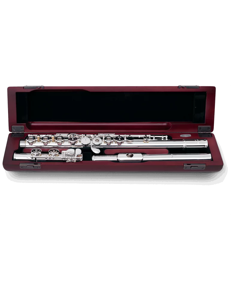 PEARL FLUTE 695RE | MusicGoodDeal