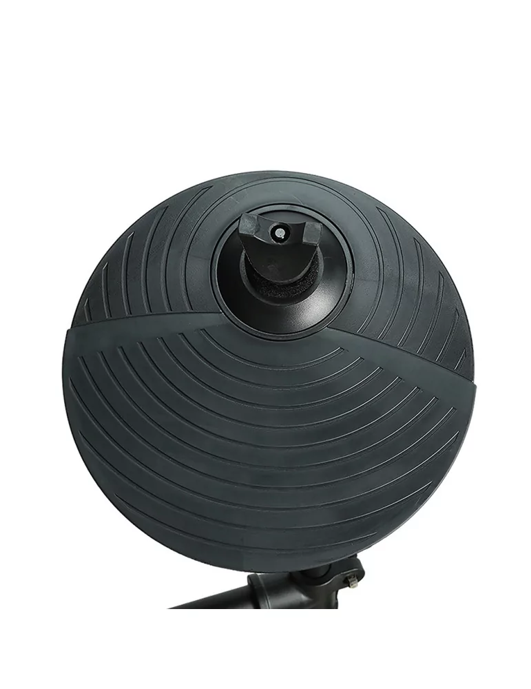  CARLSBRO ROCK50|MusicGoodDeal 