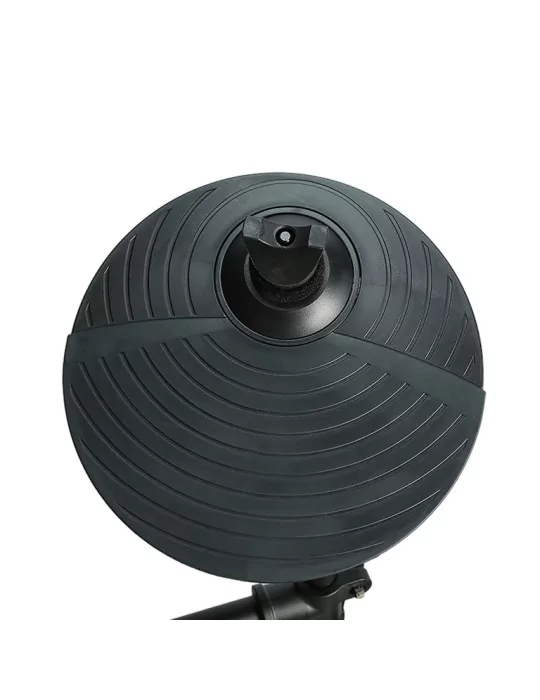  CARLSBRO ROCK50|MusicGoodDeal 