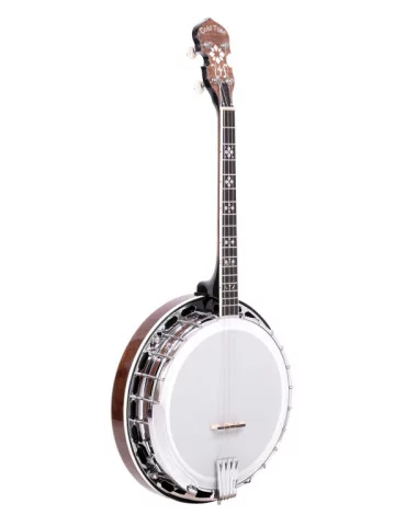  GOLD TONE IT-250F Irish tenor banjo with flange, case included|MusicGoodDeal 