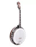  GOLD TONE IT-250F Irish tenor banjo with flange, case included|MusicGoodDeal 