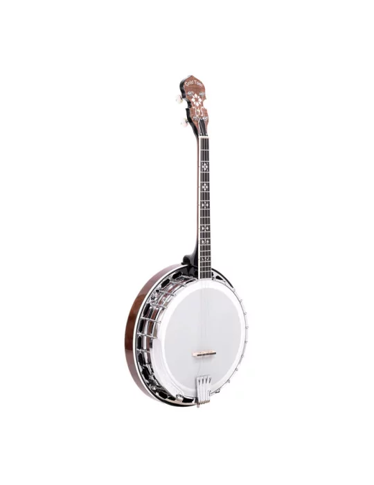  GOLD TONE IT-250F Irish tenor banjo with flange, case included|MusicGoodDeal 