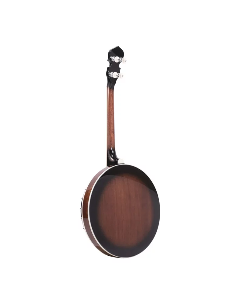  GOLD TONE IT-250F Irish tenor banjo with flange, case included|MusicGoodDeal 