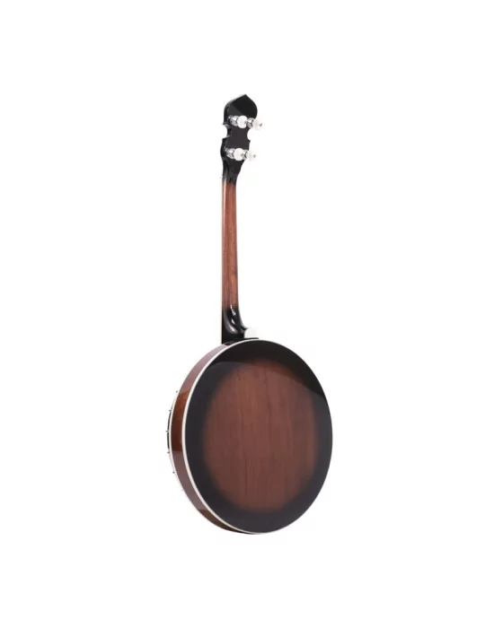 GOLD TONE IT-250F Irish tenor banjo with flange, case included|MusicGoodDeal 