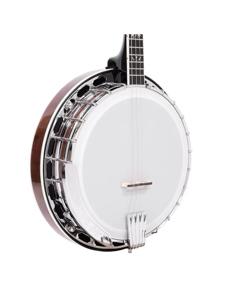  GOLD TONE IT-250F Irish tenor banjo with flange, case included|MusicGoodDeal 