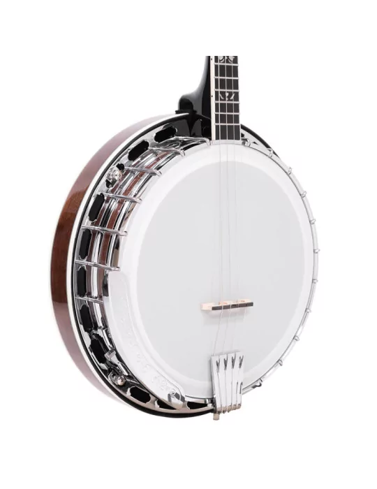  GOLD TONE IT-250F Irish tenor banjo with flange, case included|MusicGoodDeal 