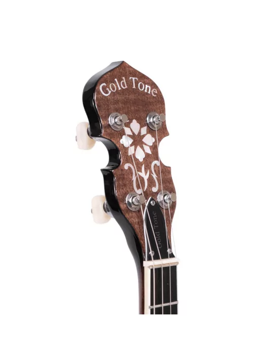  GOLD TONE IT-250F Irish tenor banjo with flange, case included|MusicGoodDeal 