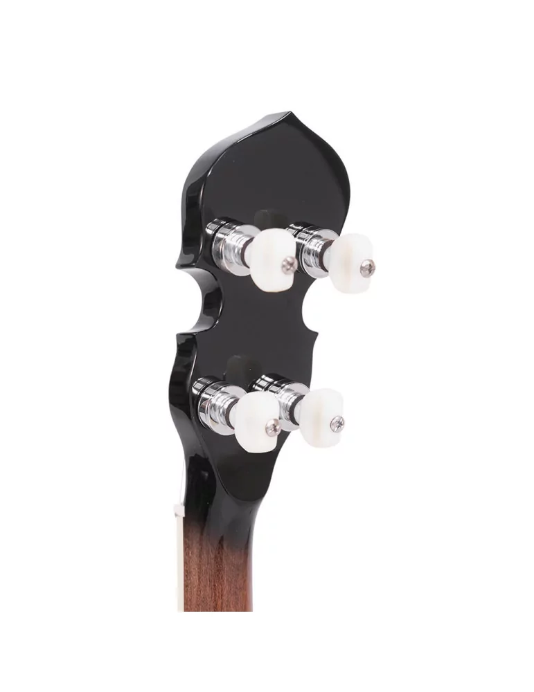  GOLD TONE IT-250F Irish tenor banjo with flange, case included|MusicGoodDeal 
