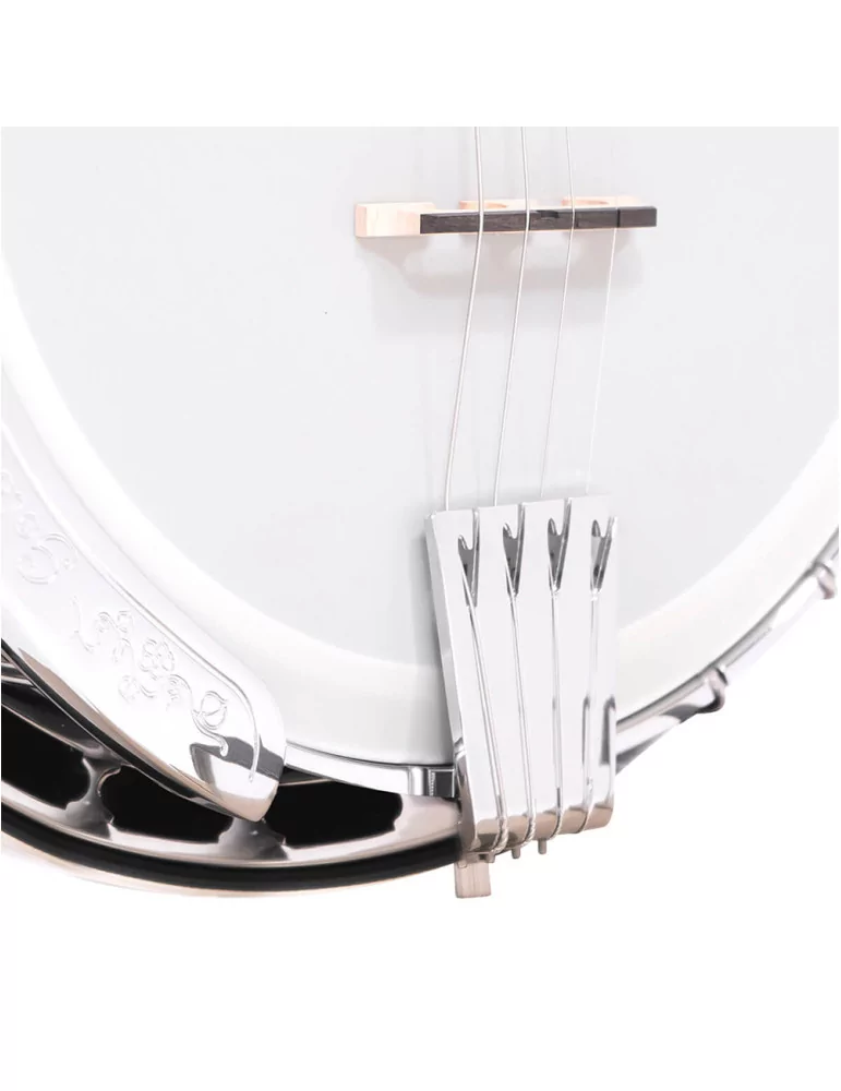  GOLD TONE IT-250F Irish tenor banjo with flange, case included|MusicGoodDeal 
