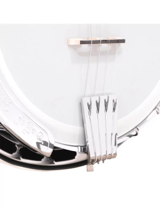  GOLD TONE IT-250F Irish tenor banjo with flange, case included|MusicGoodDeal 