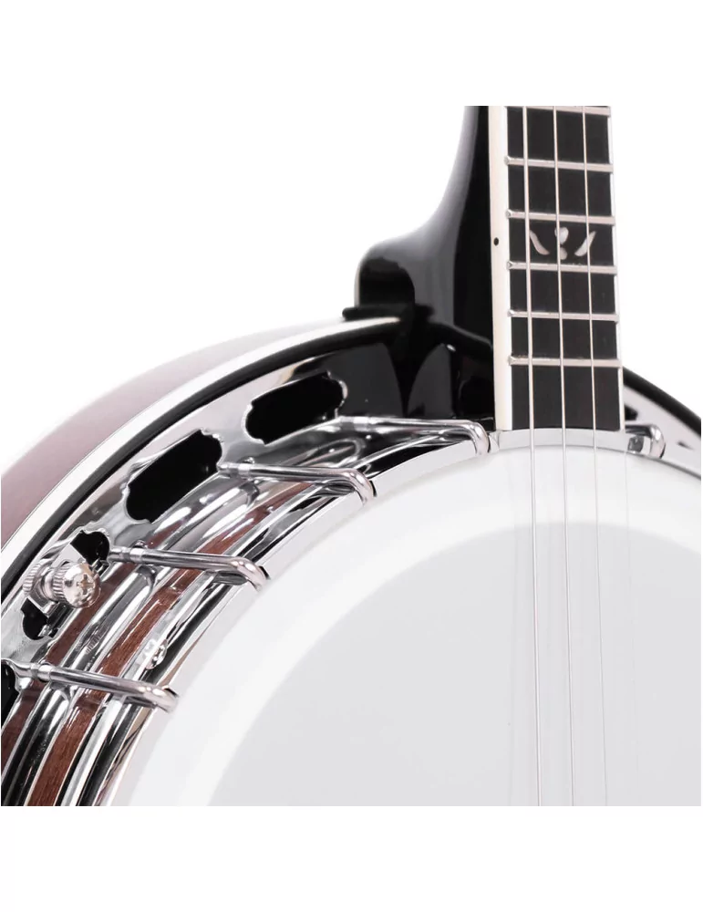  GOLD TONE IT-250F Irish tenor banjo with flange, case included|MusicGoodDeal 
