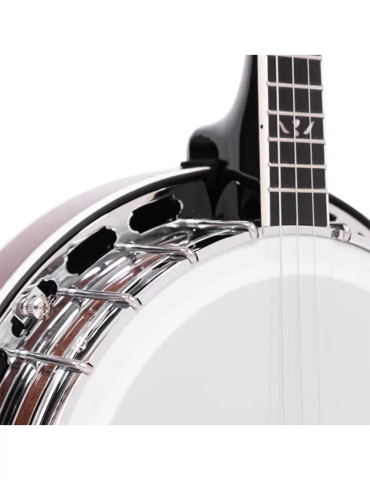  GOLD TONE IT-250F Irish tenor banjo with flange, case included|MusicGoodDeal 