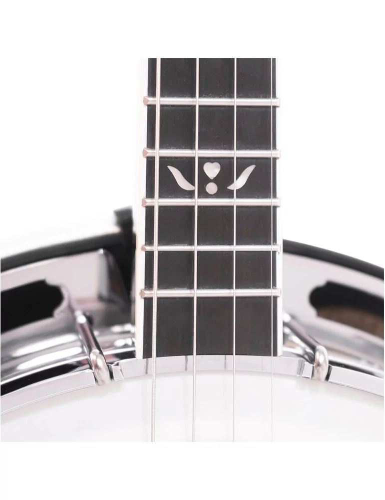  GOLD TONE IT-250F Irish tenor banjo with flange, case included|MusicGoodDeal 