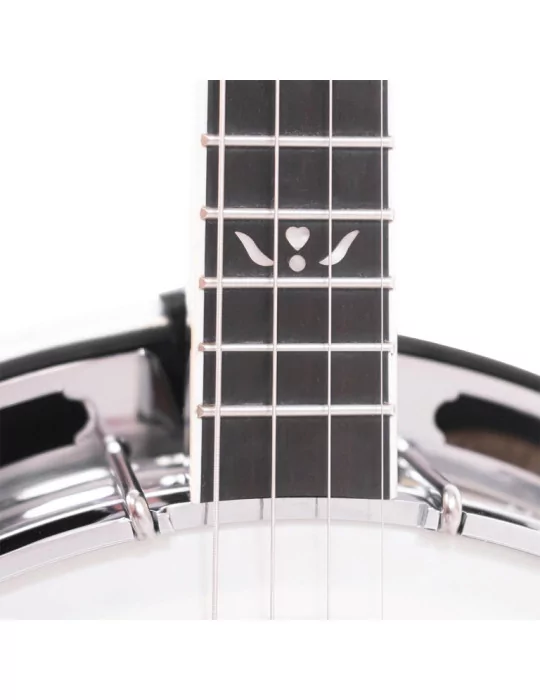  GOLD TONE IT-250F Irish tenor banjo with flange, case included|MusicGoodDeal 