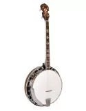  GOLD TONE TS-250 Tenor Spezial Banjo|MusicGoodDeal 