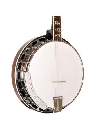  GOLD TONE TS-250 Tenor special Banjo|MusicGoodDeal  2
