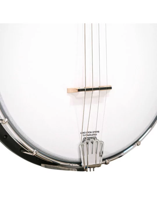  GOLDTONE AC-4 offen acoustic Tenor Banjo Rückseite mit 4 strings composite Fass mit Deckel|MusicGoodDeal 